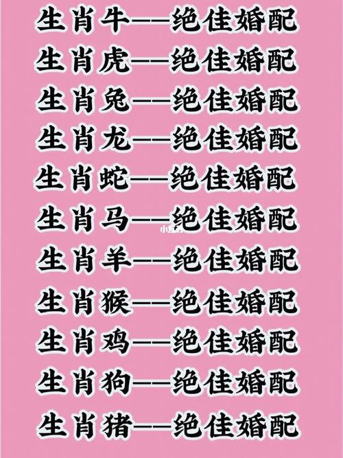 12生肖最佳夫妻配对,最佳精选数据资料_手机版24.02.60