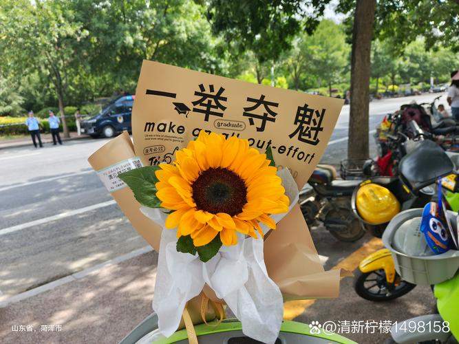 新澳最新版精准特和2025年高考拉开帷幕与2025年高考是什么时候